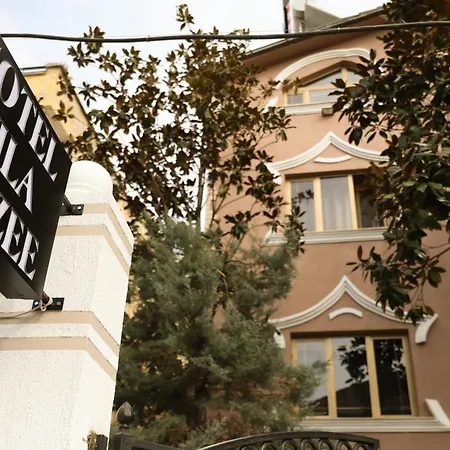 Hotel Alizee *